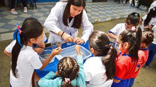Vacaciones útiles: Ofrecen talleres científicos de verano para escolares
