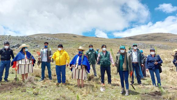 Cajamarca: Agro Rural instala más de 22,000 plantones forestales maderables en la comunidad Llucllapuquio. (Foto: Difusión)