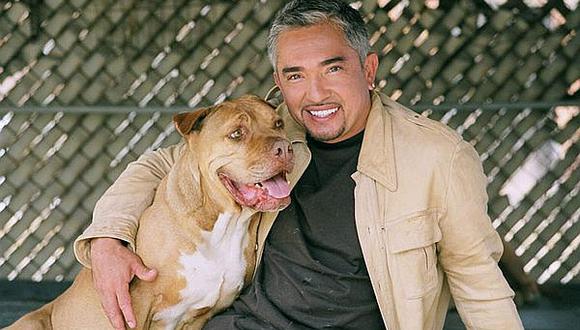 El "encantador de perros" César Millán no afrontará cargos de crueldad animal 