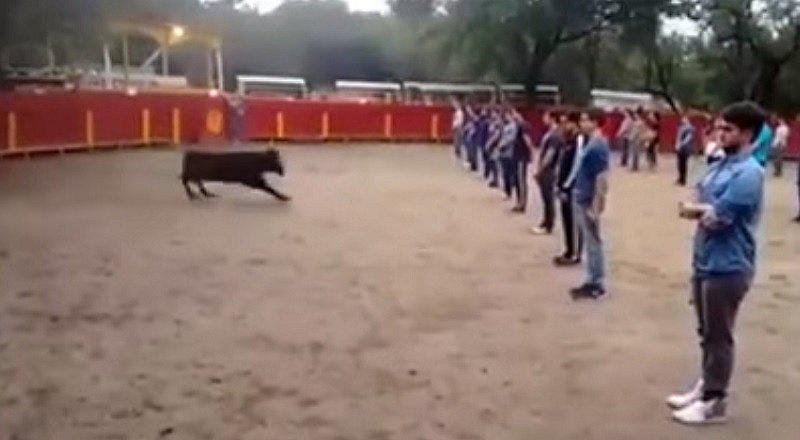 YouTube: Suelta a toro en medio de 40 personas y esto pasa [VIDEO]