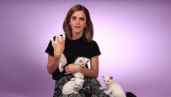 ¡Lady cat! Emma Watson fue entrevistada rodeada de gatitos y murió de ternura [VIDEO]