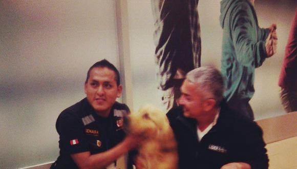 Perro recibió muy contento a César Millán a su llegada a Lima [FOTO] 