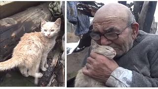 El emotivo abrazo de un abuelito a su gato tras perder todo en un incendio (VIDEO)
