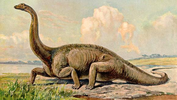 Hallan al saurópodo más antiguo de Sudamérica