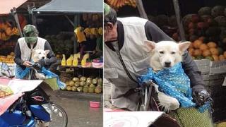 Hombre que protege y cubre a su perrito de la lluvia enternece las redes (VIDEO)