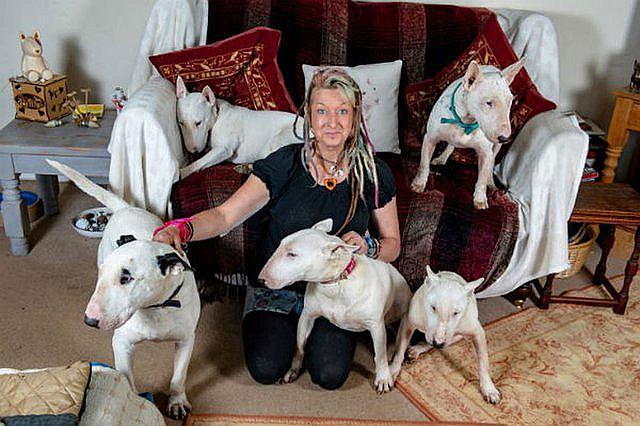 Esposo le pregunta a su mujer “los perros o yo” y ella escoge a sus mascotas (FOTOS)