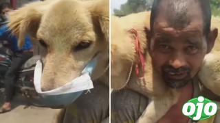 Hombre se quita su única mascarilla y se la pone a su perrito para ‘protegerlo del coronavirus’ | VIDEO 