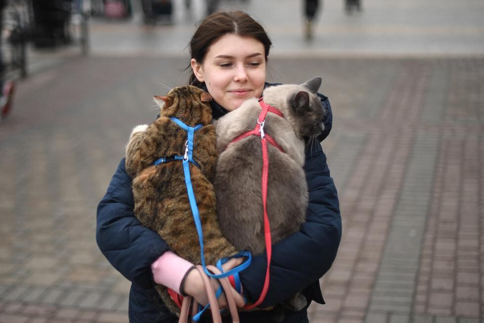 Una mujer carga a sus gatos mientras camina cerca de la estación de tren Kyiv-Pasazhyrskyi en Kiev. (Foto: Daniel LEAL / AFP)