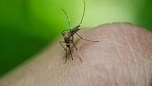 ​Supermosquito transmisor de malaria resiste al insecticida más usado y mete miedo