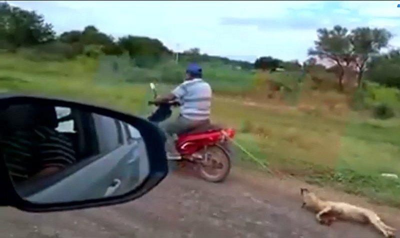 Difunden video de un hombre en moto arrastrando a su perro (VIDEO)