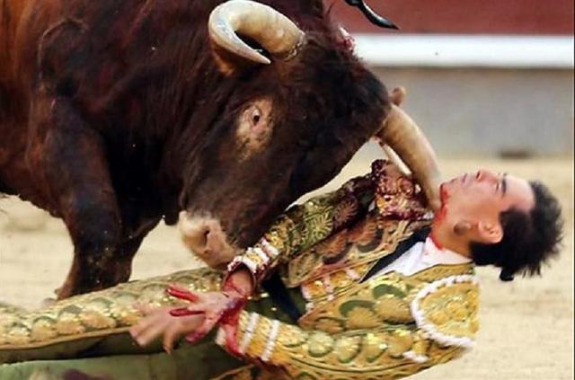 Destacado torero español sufre terrorífica cornada [FOTOS]