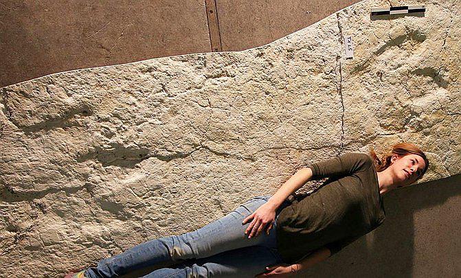 ​Carretera escondía las huellas de grandes dinosaurios carnívoros