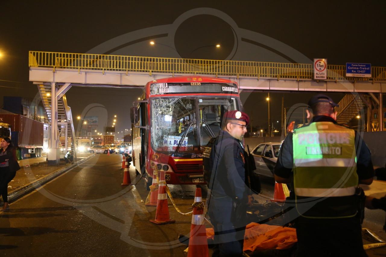 Foto: Stefania Piaggio