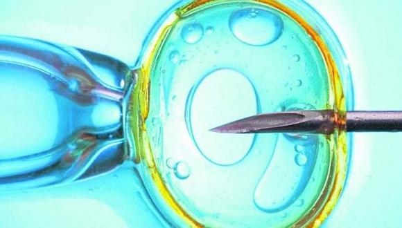 Mantienen con vida embriones humanos "in vitro" durante trece días 