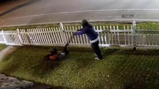 Robó cortadora de pasto de sus vecinos, pero antes se llevársela les cortó césped de su casa