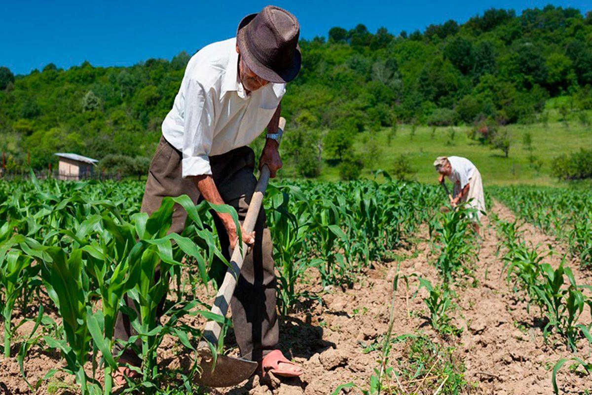 Además de los bonos Yo me quedo en casa y Bono Independiente, el Gobierno peruano anunció el bono rural, cuyo padrón ya está armado (Foto: Andina)