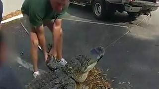 Estados Unidos: policía de Florida logró atrapar a un caimán de tres metros que se ocultaba bajo un auto | VIDEO