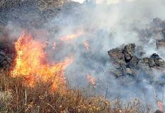 Parque Arqueológico de Raqchi amenazado por incendio forestal | VIDEO