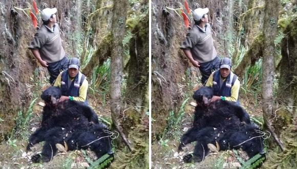 La historia detrás de la imagen de los cazadores que acabaron con la vida de un oso andino en Cusco 
