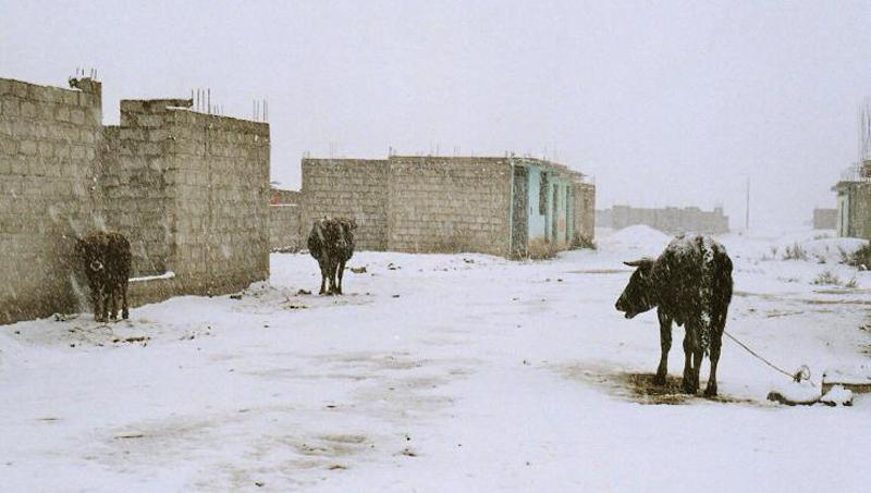 Ica registró su temperatura más baja en 40 años