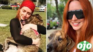 “Tengo el corazón roto”: Ariadne Díaz destrozada luego de que un cocodrilo devorara a su perrita Tacha