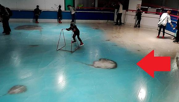 ​Japón: ¿sabes por qué obligaron a cerrar pista de patinaje con 5 mil peces congelados?