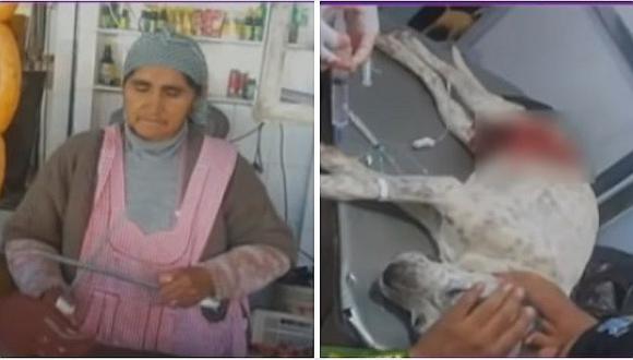 Detienen a mujer que apuñaló  a perrito por llevarse un pedazo de carne (VIDEO) 
