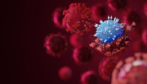 La expansión violenta de la variante ómicron del coronavirus mantiene en alerta a las autoridades sanitarias de todo el planeta.