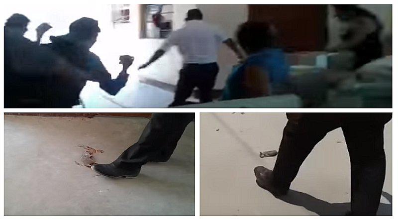 Qali Warma: hallan nido de ratas en almacén de alimentos en colegio (VIDEO)