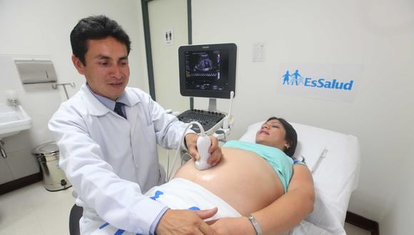 Zika: EsSalud recomienda a mujeres con sospecha de embarazo acudir a especialistas  