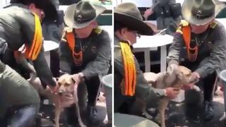 Policías colombianos ayudan a perros que llegan en pésimas condiciones a la frontera (VIDEO)