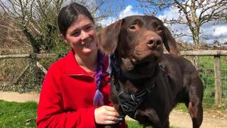 Un labrador retriever se convierte en el primer perro tratado por ser adicto al alcohol