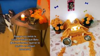 Crean altar para recordar a sus mascotas fallecidas por el Día de los Muertos