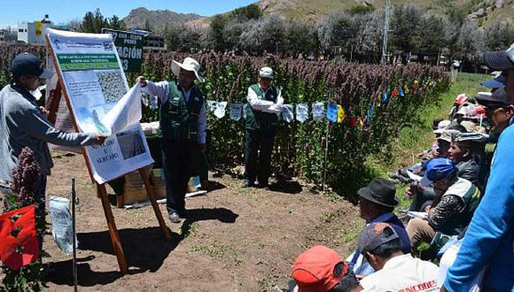INIA capacita a productores de quinua en Puno   