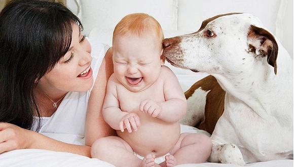 ¿Cómo adiestrar a tu perro para la llegada de un bebé?