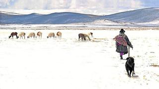 Fuertes nevadas azotan la sierra sur