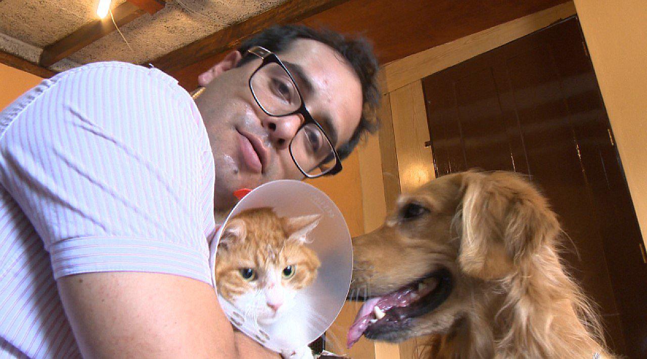 Junior Silva desesperado por sobrepeso de su gatito [FOTOS]  