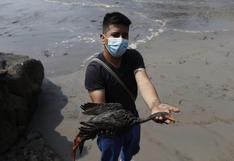 Derrame de petróleo: Minam organizará a voluntarios para que intervengan con seguridad