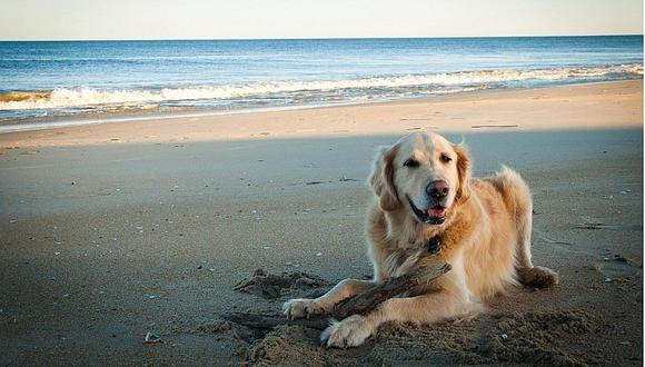 Distrito que prohíbe el ingreso de mascotas a la playa