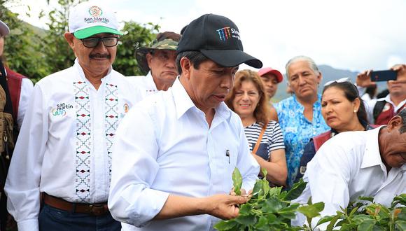 Pedro Castillo cuestionó la investigación en su contra. (Foto: Presidencia)