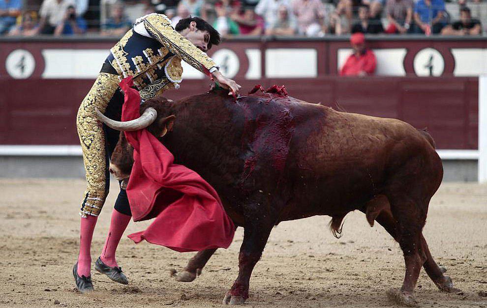 Matan a toros con impunidad, pero toreros denuncian cuando los cuestionan