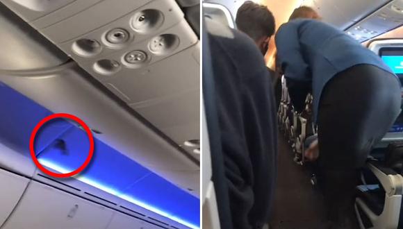 El video del ave en el avión ha registrado miles de comentarios.