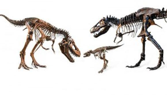 Científicos reconstruyen nueva especie de dinosaurio que vivió hace cien millones años
