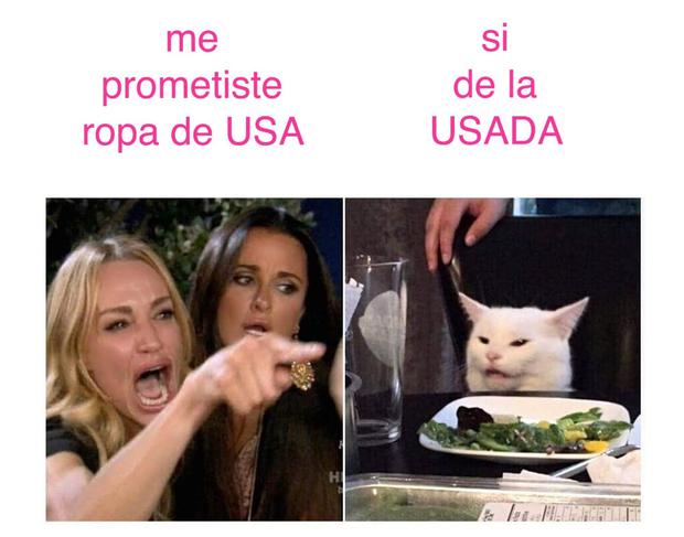 wallpapers Meme Gato Blanco Confundido los mejores memes del gato blanco en la