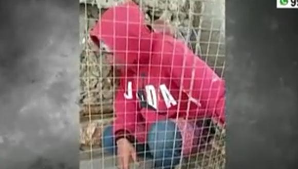 Ladrón queda encerrado en jaula para loros. Foto: América Noticias