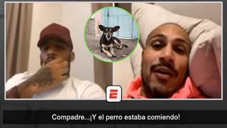Paolo Guerrero le contó a Jefferson Farfán el día que un perro le mordió la boca | VIDEO