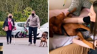 Una chica y su perro protagonizan conmovedor video viral en TikTok