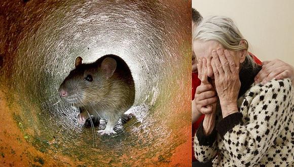 Mujer de 87 años con demencia senil pasó la noche entre ratas por falta de hogar