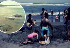 Lurín: alertan sobre presencia de malaguas en concurrida playa Arica 