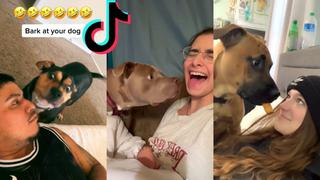 Reto “Ládrale a tu perro” en TikTok puede provocar serios traumas a los animales | VIDEO 